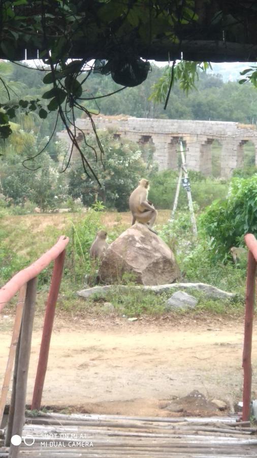Om Shanti Om Homestay Хампи Екстериор снимка